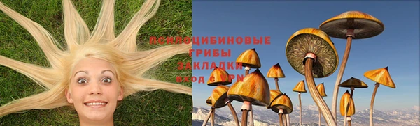 каннабис Абаза
