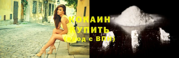 индика Абинск