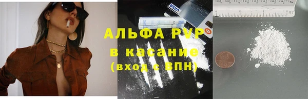 индика Абинск