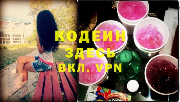 индика Абинск