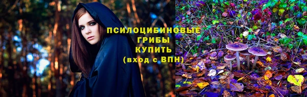 индика Абинск