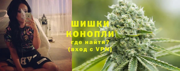 индика Абинск