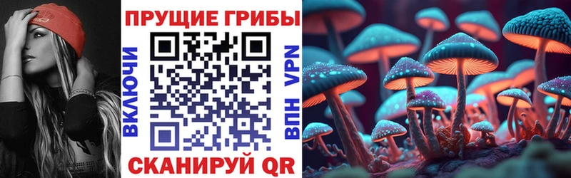 где продают наркотики  Комсомольск-на-Амуре  Галлюциногенные грибы Cubensis 